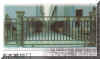 TSMY4.jpg (82167 �ֽ�)