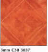 ankaixtp30-5.jpg (52837 �ֽ�)