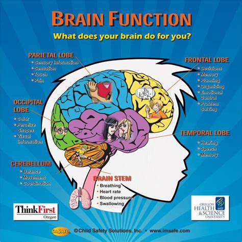 Exploring the Intricacies of the Right Side of the Head: Functions and Implications